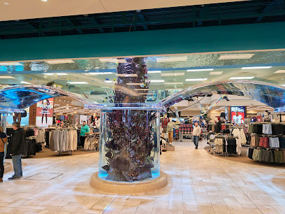 Scheels Colorado Springs - Store photo