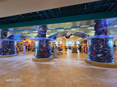 Scheels Sandy - Store photo