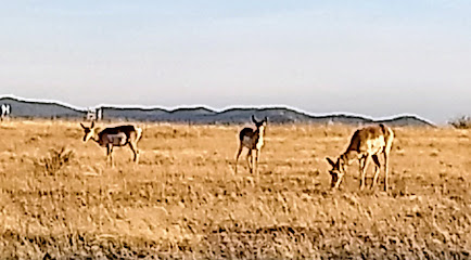 Wolfe Publishing Co. - Store photo