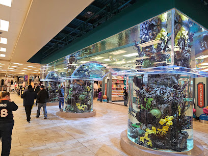 Scheels Wichita - Store photo