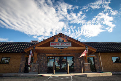 Bristlecone Shooting, Training & Retail Center - Store photo