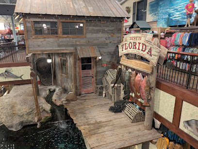 Bass Pro Shops - Store photo