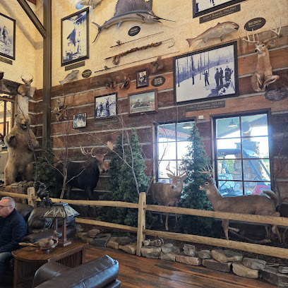 Bass Pro Shops - Store photo