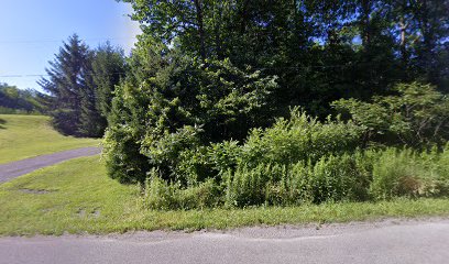 Hiles Gun Shop - Store photo