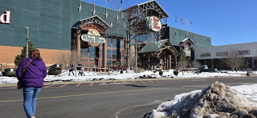 Bass Pro Shops - Store photo
