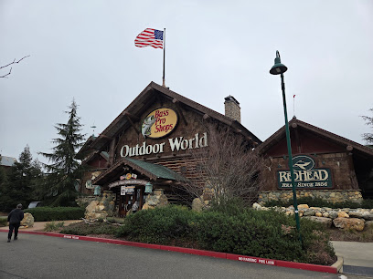 Bass Pro Shops - Store photo