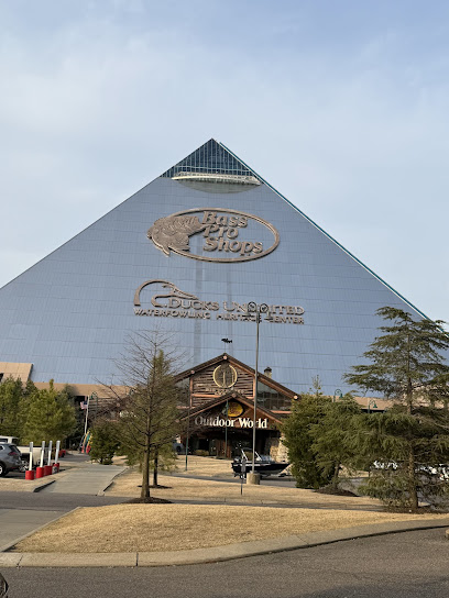 Bass Pro Shops at the Pyramid - Store photo