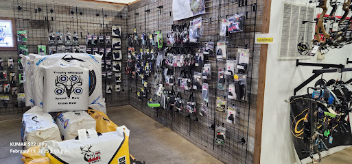 Bear Arms Armory & Archery - Store photo